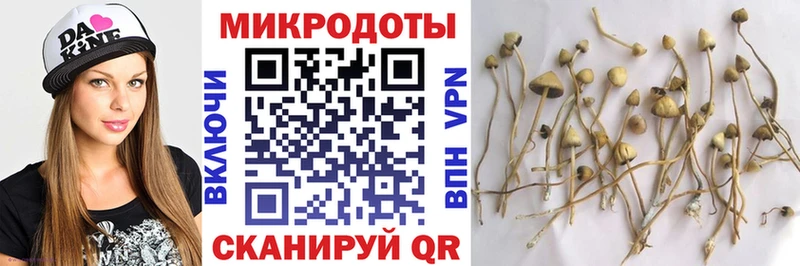 Псилоцибиновые грибы прущие грибы  Киреевск 